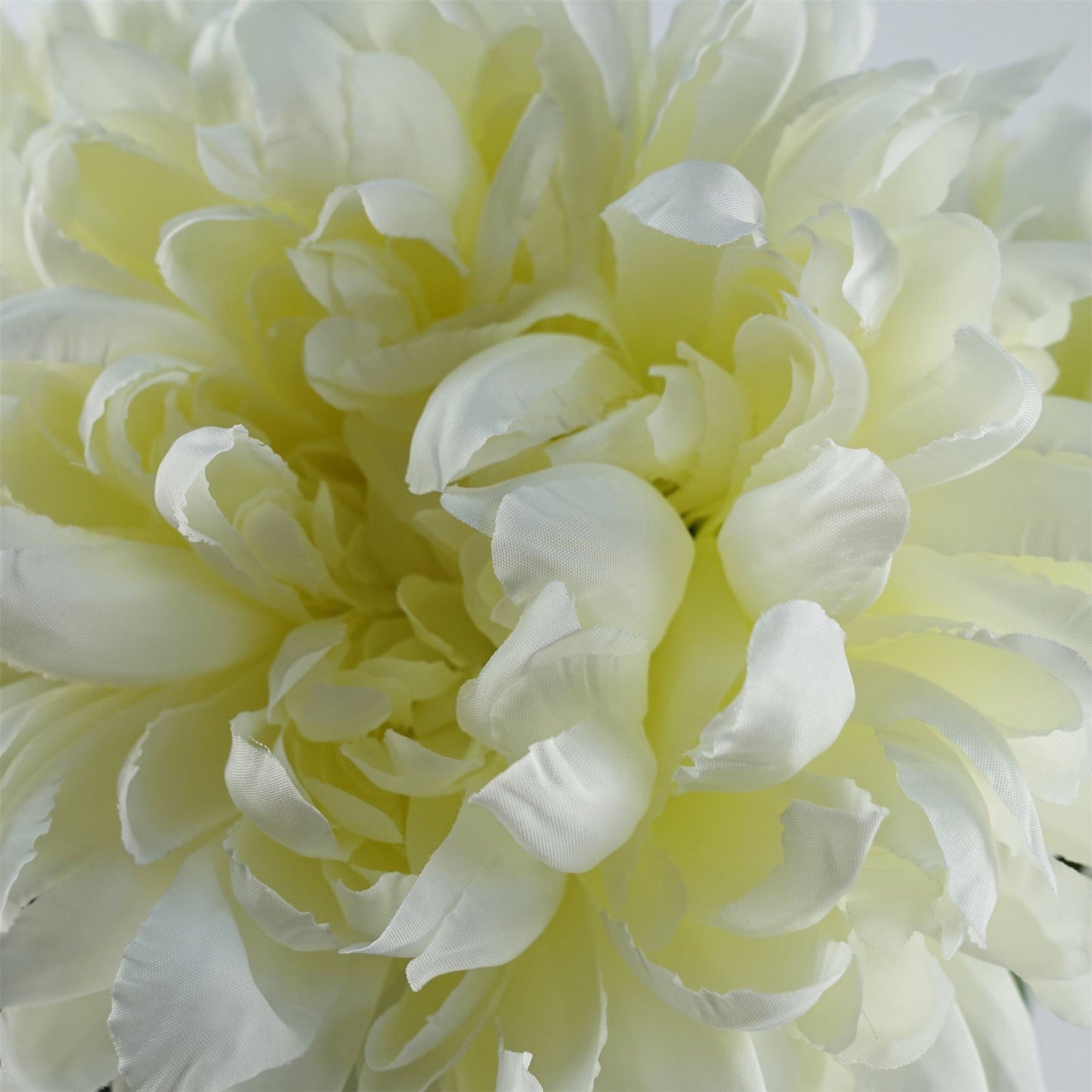 Pack of 6 x Artificial Flowers Extra Large Reflex Chrysanthemum - White 75cm-4