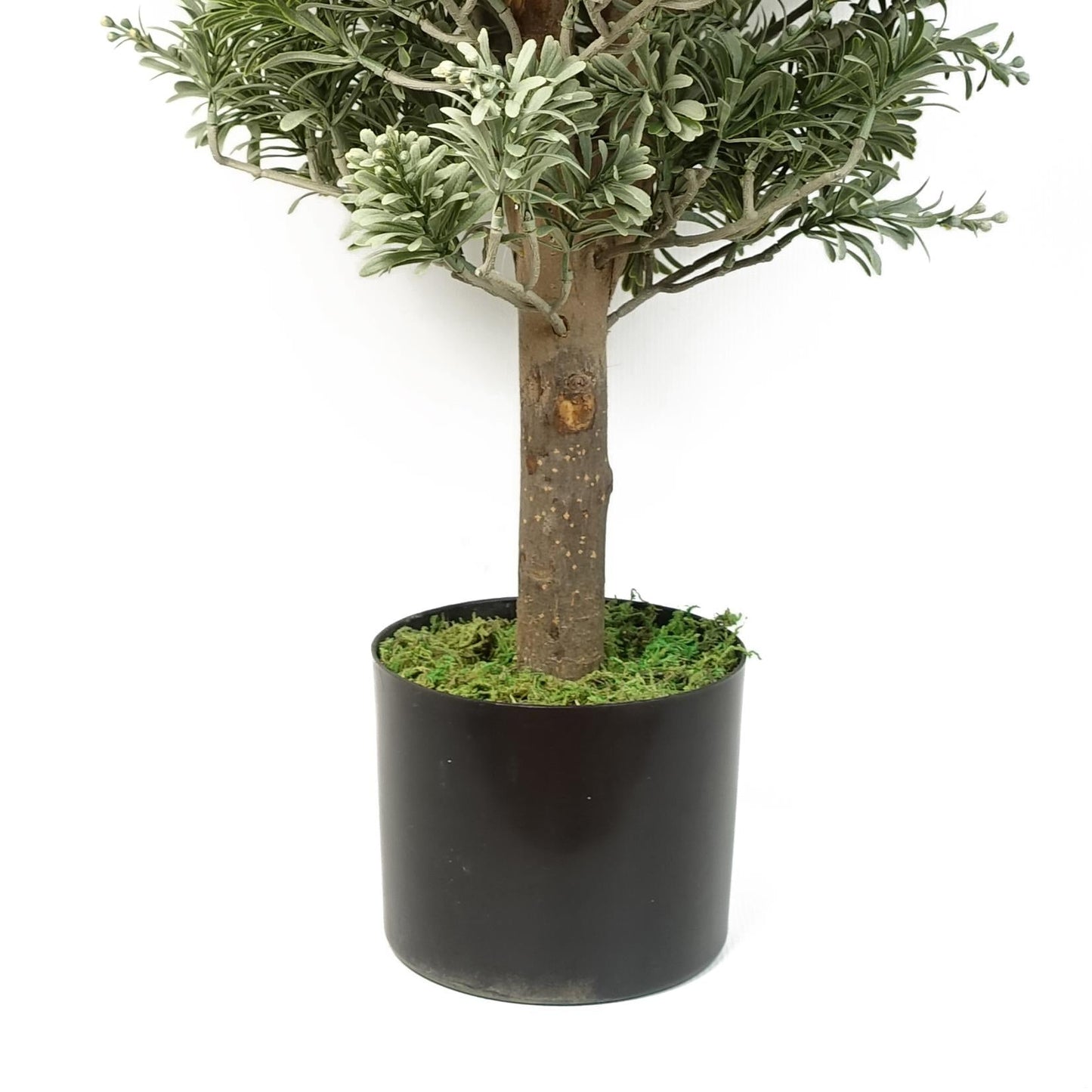 Artemisa Topiary 70cm-2