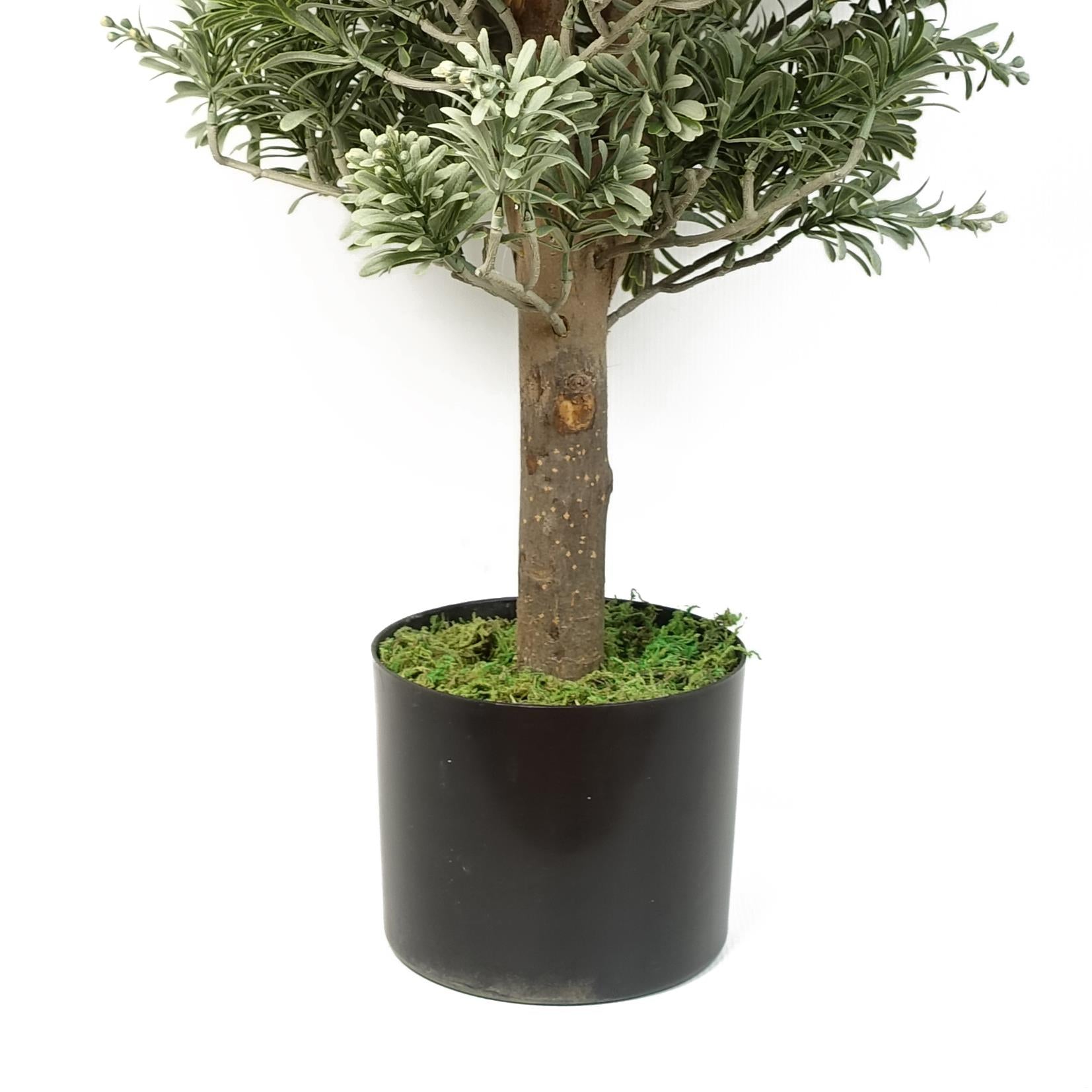 Artemisa Topiary 70cm-2