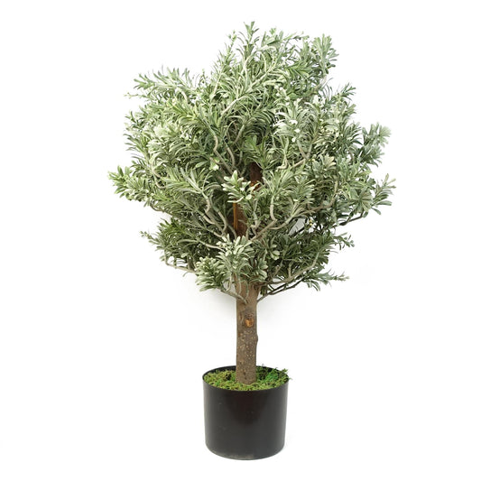 Artemisa Topiary 70cm-0